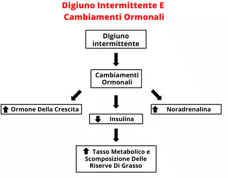 11 dieta del digiuno intermittente