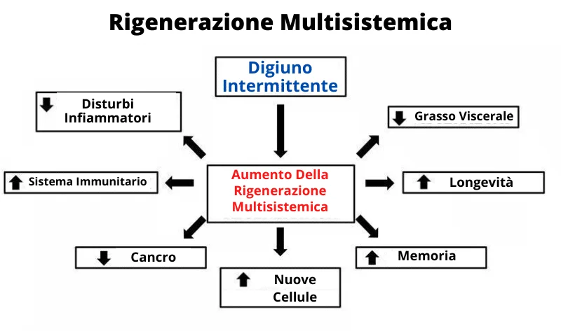 5 digiuno a intermittenza