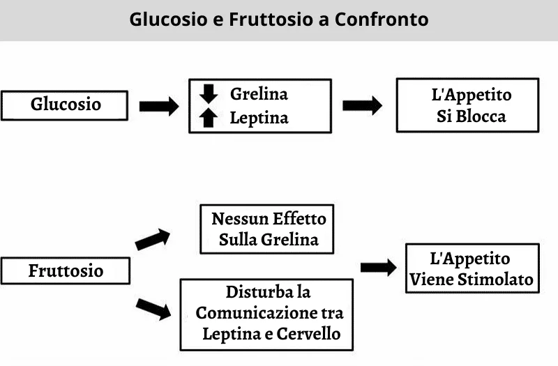 digiuno intermittente 4 digiuno intermittente