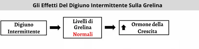 digiuno intermittente 5 digiuno intermittente