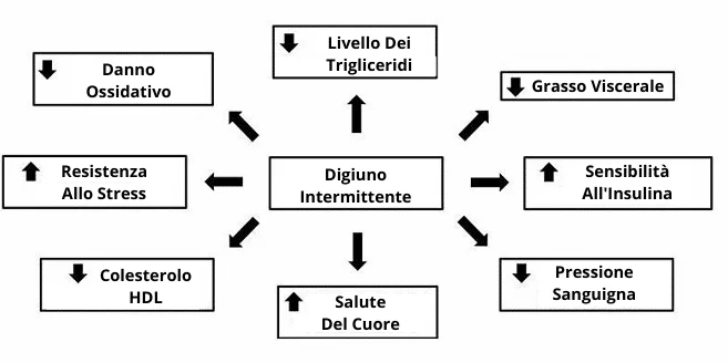 digiuno intermittente 4 digiuno intermittente