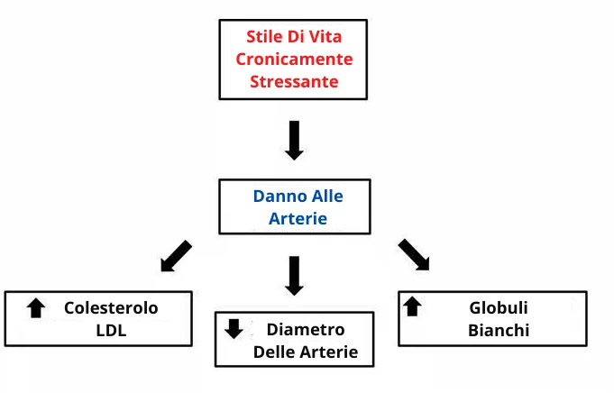 digiuno intermittente 5 digiuno intermittente