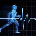 hiit cosa accade nel corpo