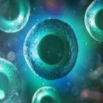 biohacking e senescenza cellulare